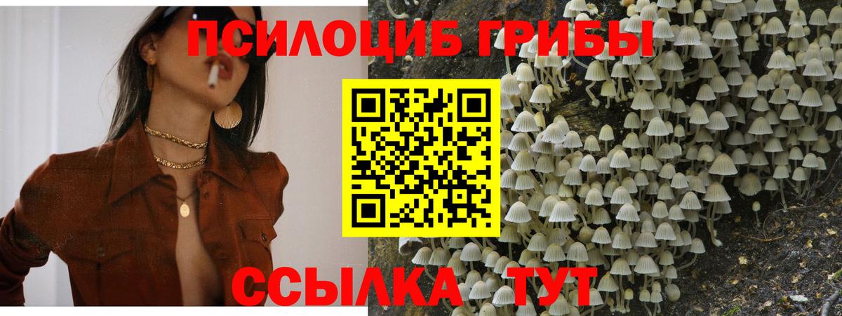 Белебей  Псилоцибиновые грибы прущие грибы  Вход с VPN 